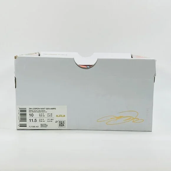 Nike Zoom Lebron NXXT Gen AMPD 'Miami' FJ1566-401 Basketball Multi